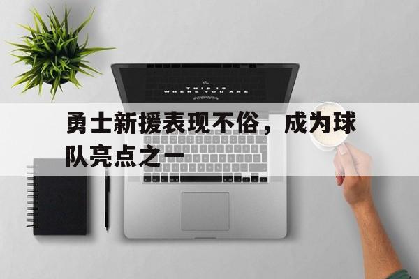 勇士新援表现不俗，成为球队亮点之一
